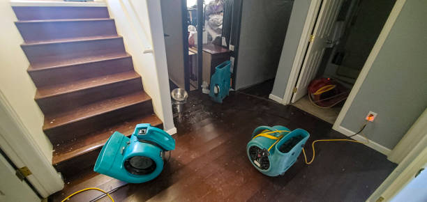 Best Emergency water damage restoration  in Alvin, TX